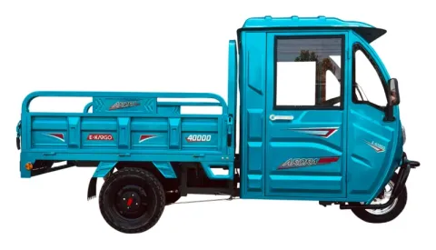 Arora E-KARGO