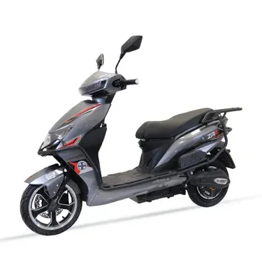 Arora ZR 4