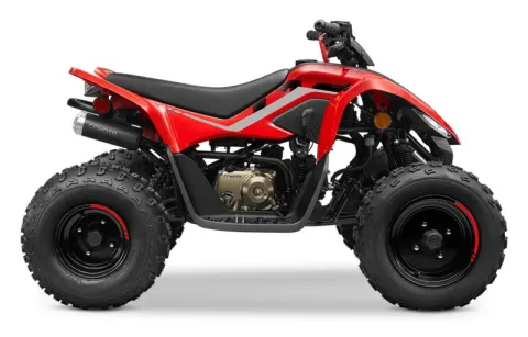 CFMoto CF110AY10