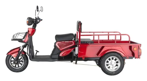 e-mon TT 3000