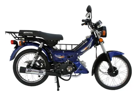Mondial 100 Hyena