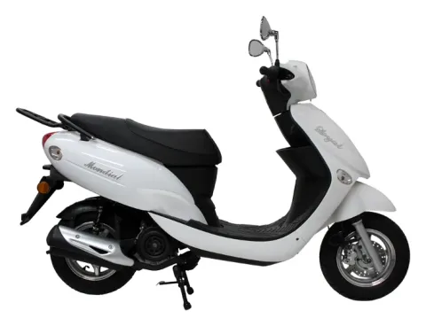 Mondial 100 Loyal
