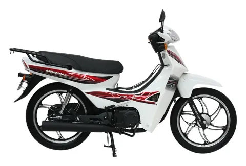 Mondial 100 SFC Snappyx