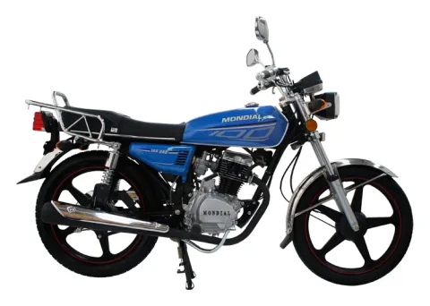 Mondial 100 UAG (2008)