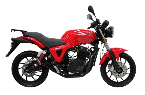 Mondial MR250 Destro (2010)
