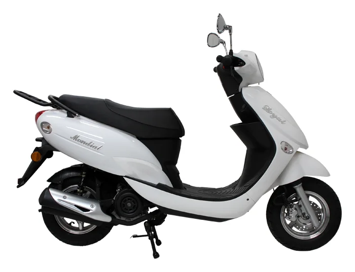 Mondial 100 Loyal